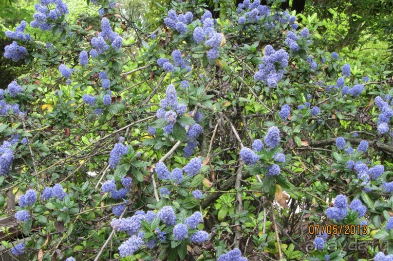 Волшебное место!