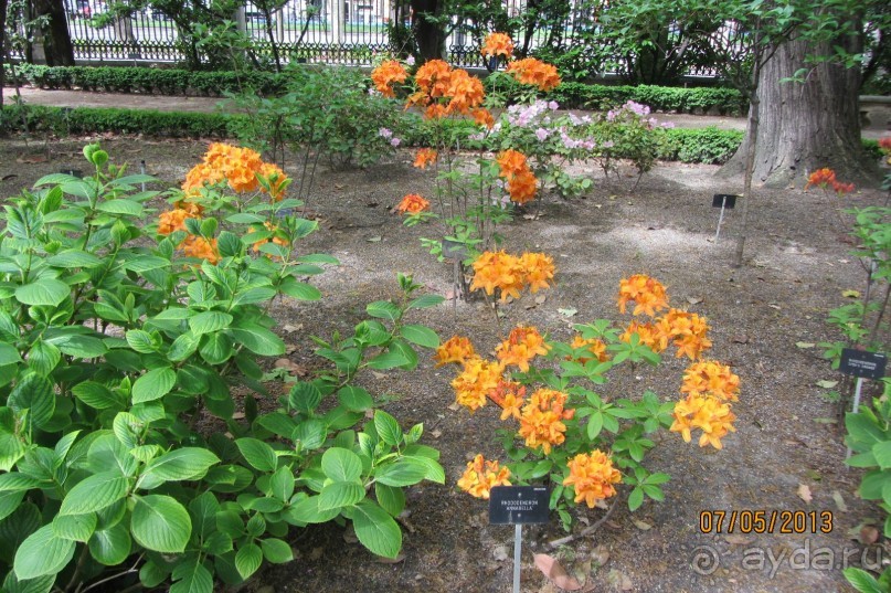 Волшебное место!