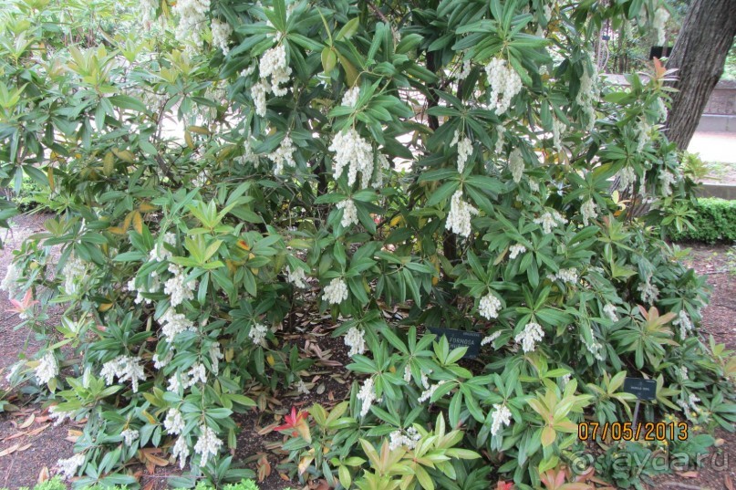 Волшебное место!