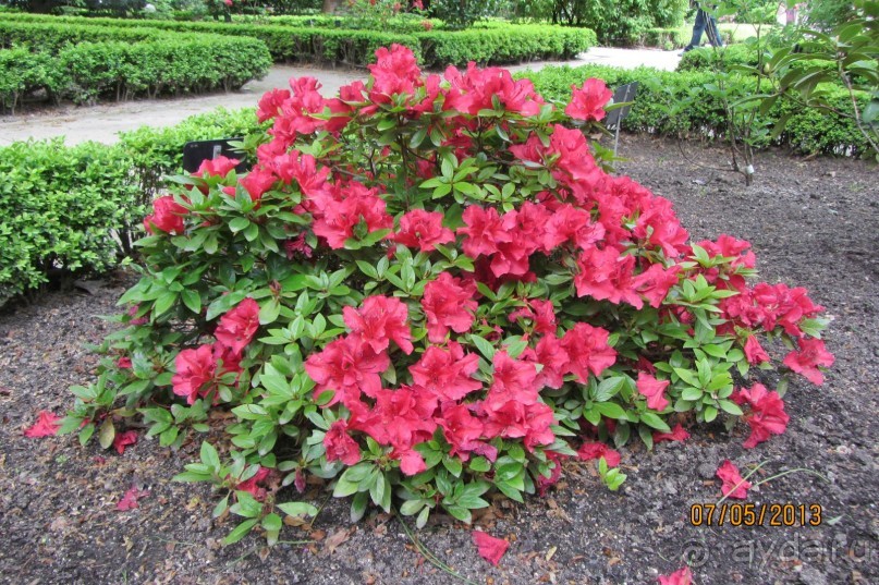 Волшебное место!