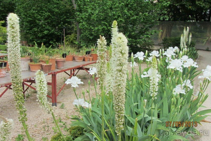 Волшебное место!