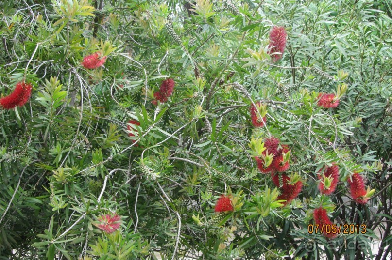 Волшебное место!