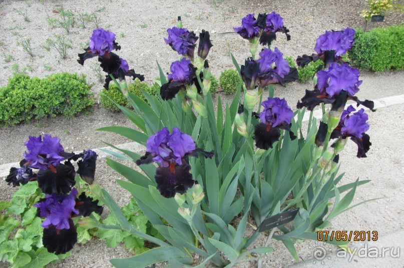 Волшебное место!