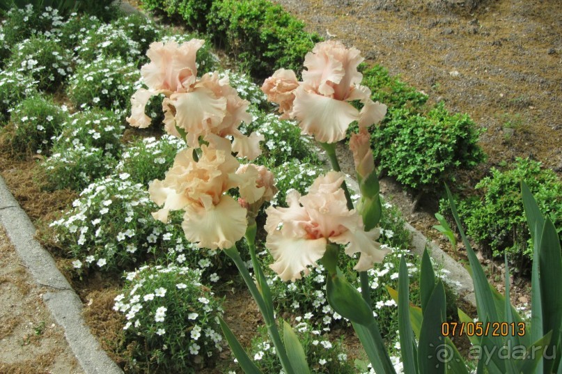 Волшебное место!