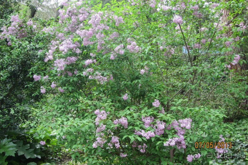 Волшебное место!