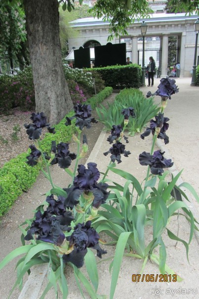 Волшебное место!