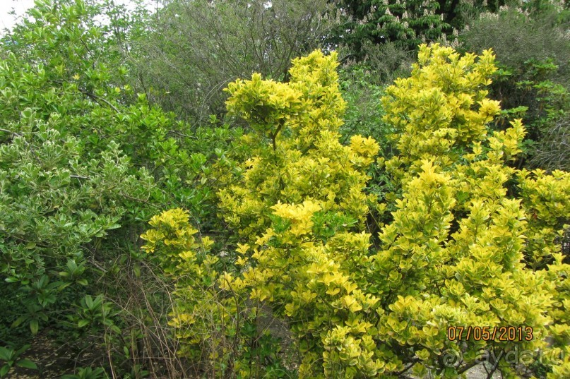 Волшебное место!