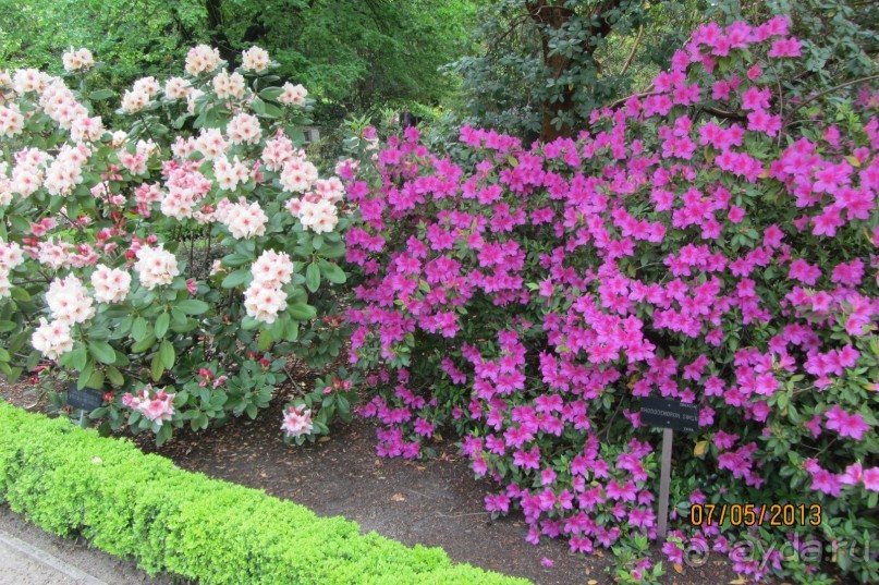 Волшебное место!