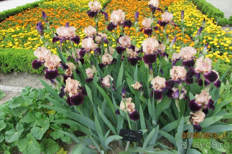 Волшебное место!