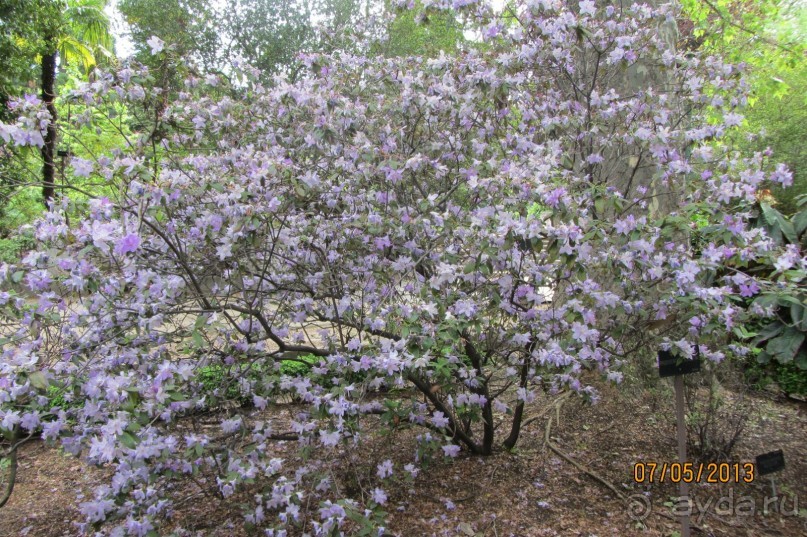 Волшебное место!
