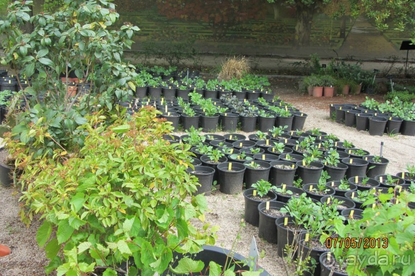 Волшебное место!