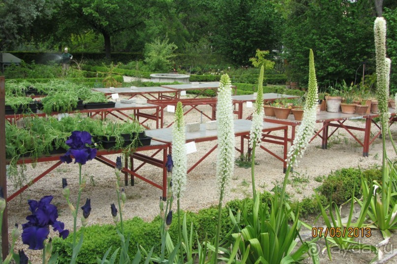 Волшебное место!