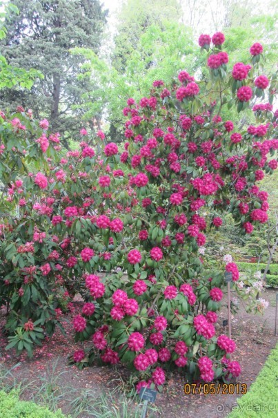 Волшебное место!