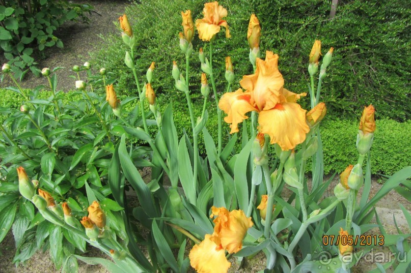 Волшебное место!