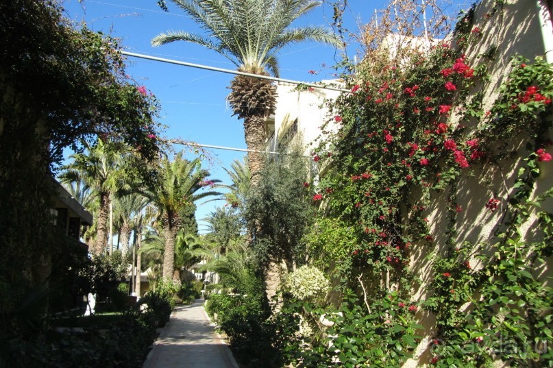 Мой замечательный отдых!