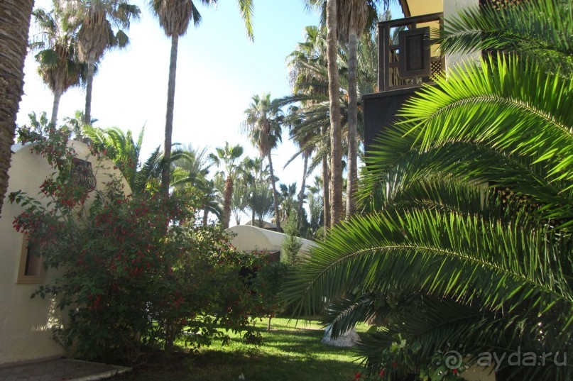 Мой замечательный отдых!