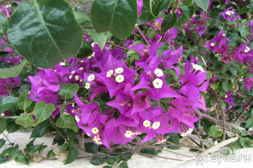 Мой замечательный отдых!