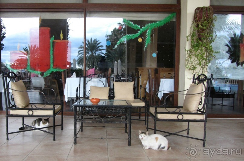 Мой замечательный отдых!