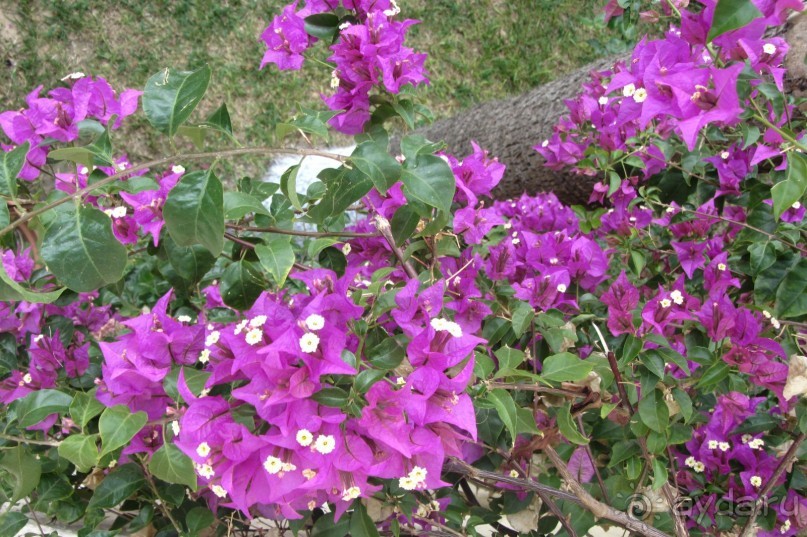 Мой замечательный отдых!