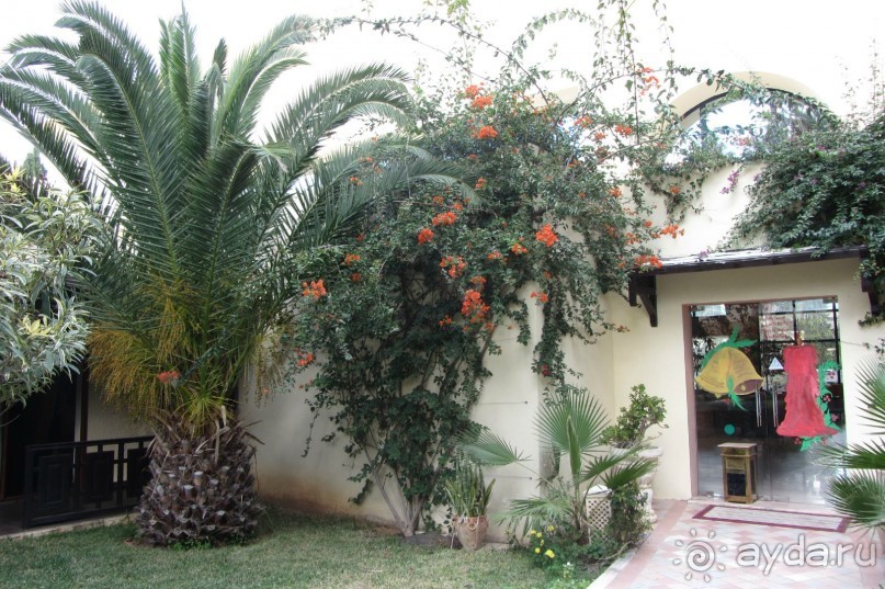 Мой замечательный отдых!