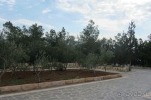 Последнее пристанище Моисея