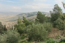 Последнее пристанище Моисея