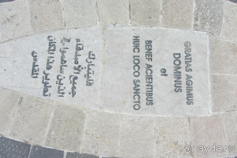 Последнее пристанище Моисея