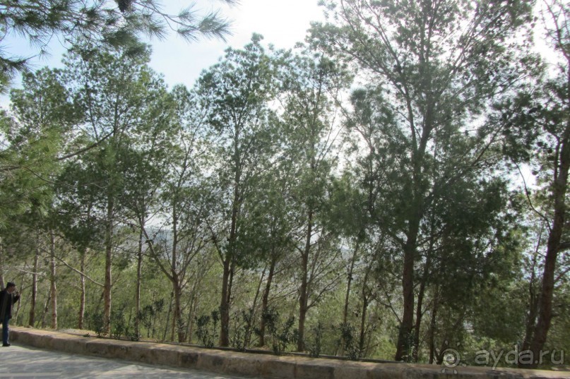 Последнее пристанище Моисея