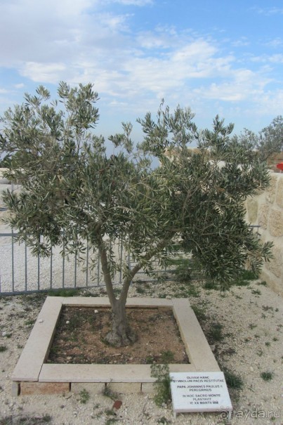 Последнее пристанище Моисея