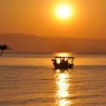 Оличные апартаменты, очень доброжелательные хозяева