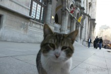 Istanbul - прекрасные каникулы!