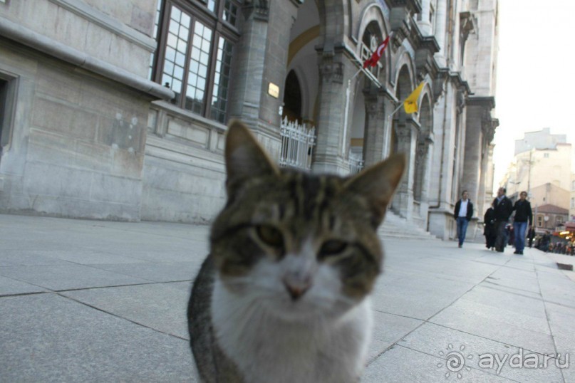 Istanbul - прекрасные каникулы!