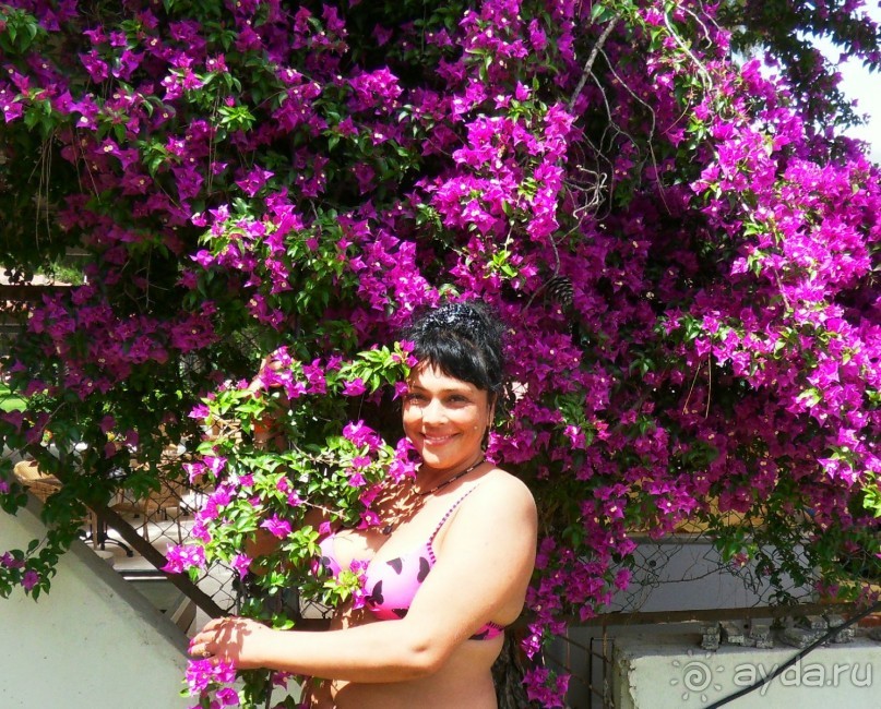 фото Larissa Vista