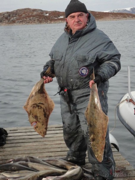 Рыбалка в северной Норвегии, Gjesvaer. День первый рыбалки.