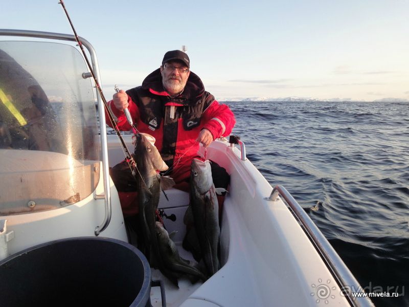 Рыбалка в северной Норвегии, Gjesvaer. День первый рыбалки.