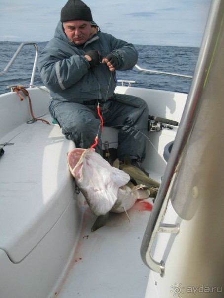Рыбалка в Норвегии подведение итогов и планы на рыбалку 2013. 