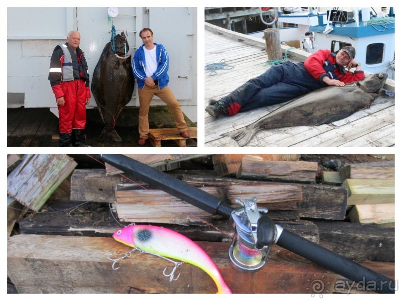 Рыбалка в Норвегии подведение итогов и планы на рыбалку 2013. 