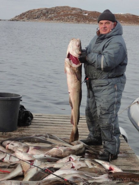 Рыбалка в северной Норвегии. Дни 2 и 3...