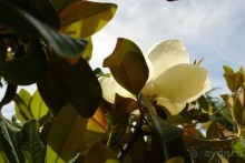 Этот сказочный остров ЗАКИНФ