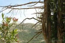 Этот сказочный остров ЗАКИНФ