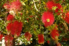 Этот сказочный остров ЗАКИНФ