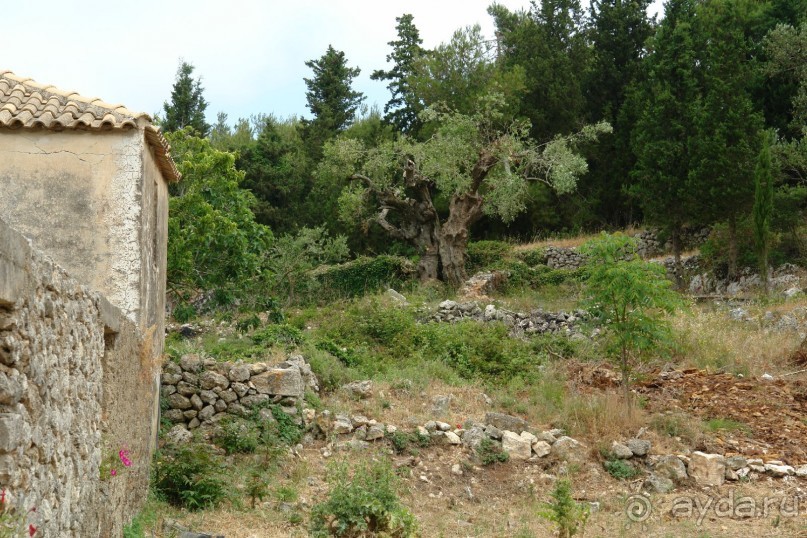 Этот сказочный остров ЗАКИНФ