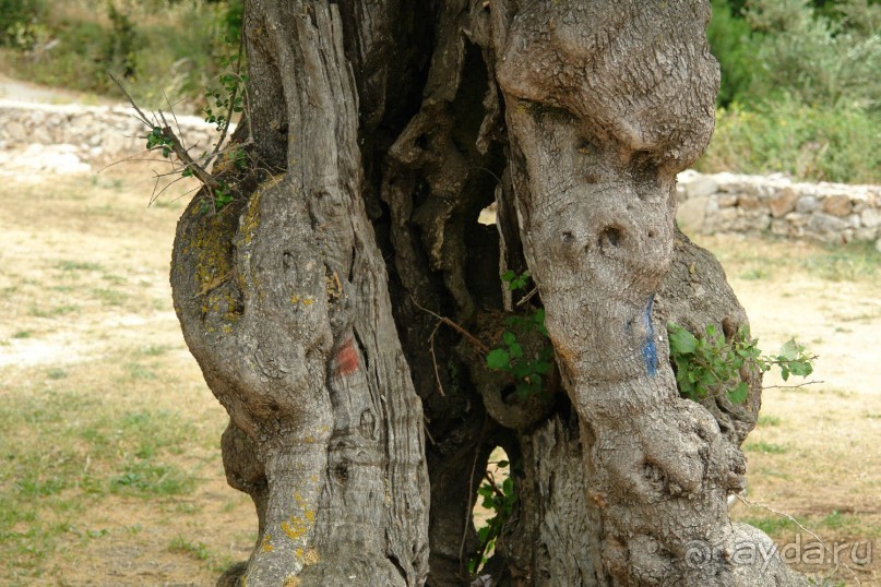 Этот сказочный остров ЗАКИНФ