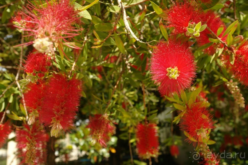 Этот сказочный остров ЗАКИНФ