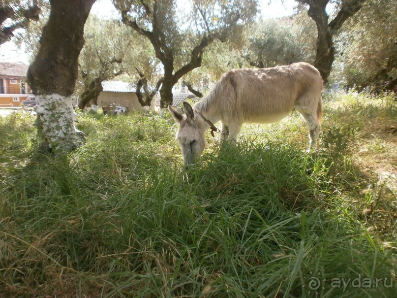 Этот сказочный остров ЗАКИНФ