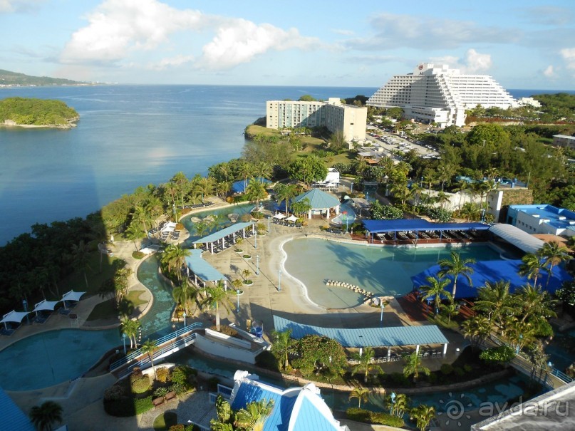 фото Весела