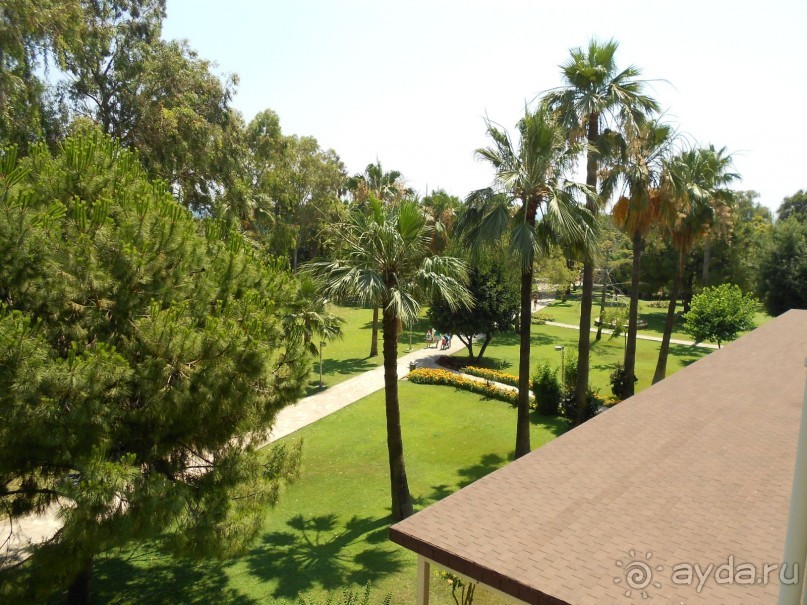 фото Barut Hemera