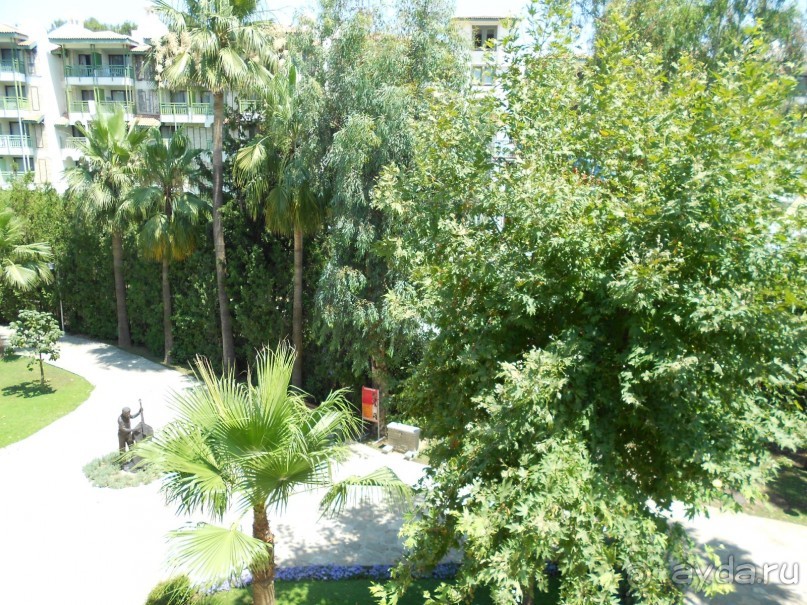 фото Barut Hemera