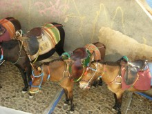 Неделя в Камари