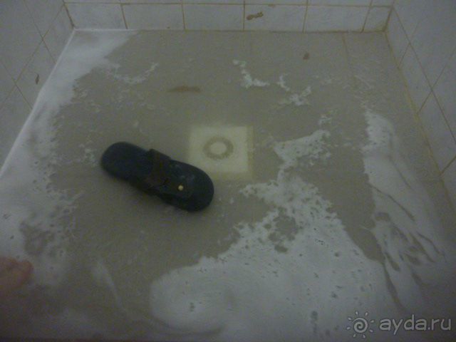 Альпийский дворик - остерегайтесь, меркантильная хозяйка!